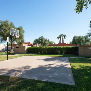 Modern Tropics , Scottsdale United States